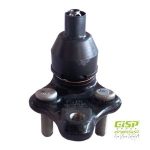 سیبک زیر کمک شاهین GISP
