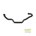 شیلنگ خروجی آب رادیاتور پایین پژو 405 - پارس R2 GISP